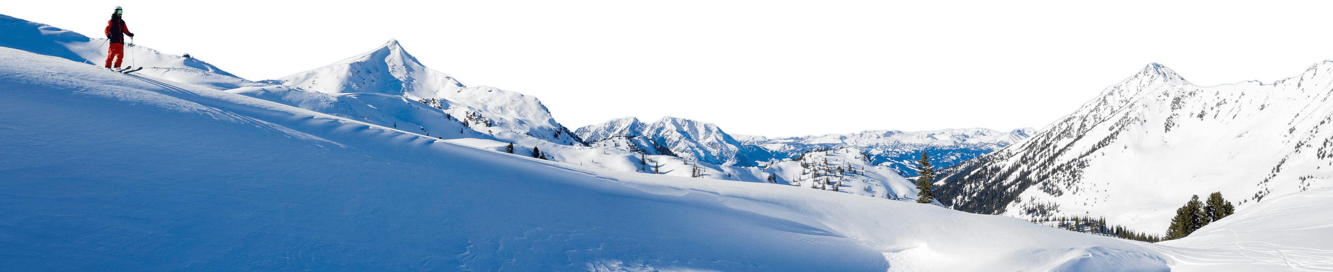 Ski & Freeride School Planneralm Panorama